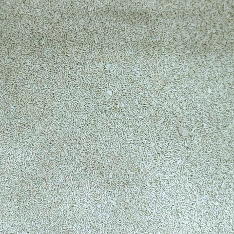 Bread Yeast