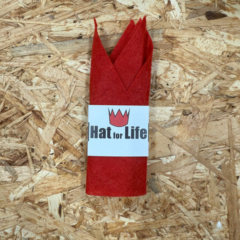 Hat For Life - Reusable Party Hat